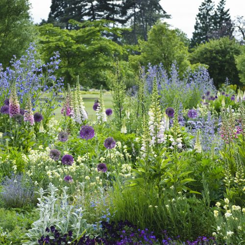 What’s On at Cambridge University Botanic Garden Summer 2024