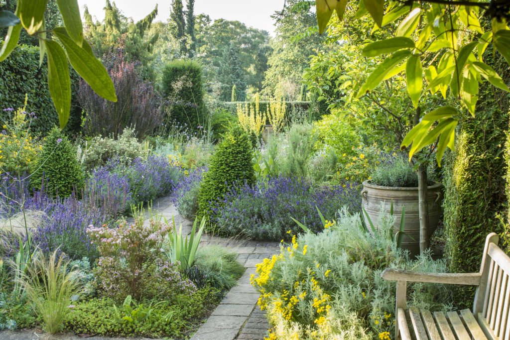Shrubs and flowers in the Dry Garden in summer. 