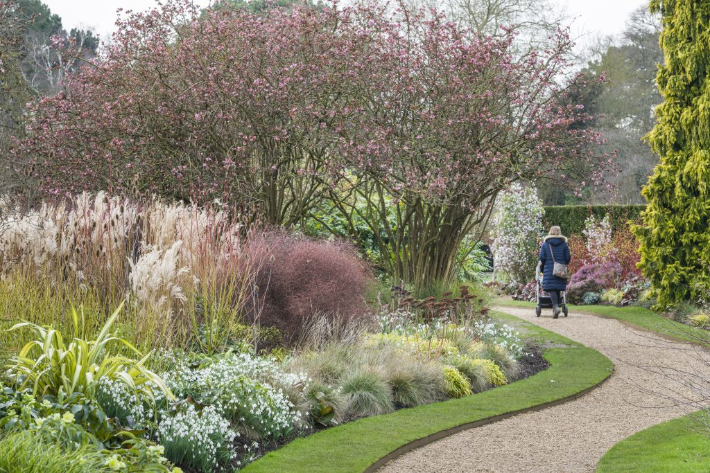 The Winter Garden