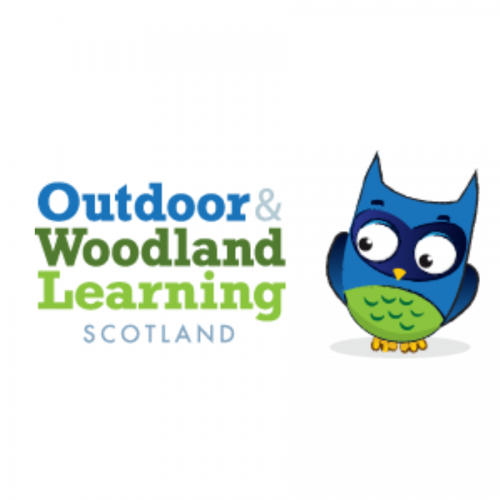 Tree measuring activities