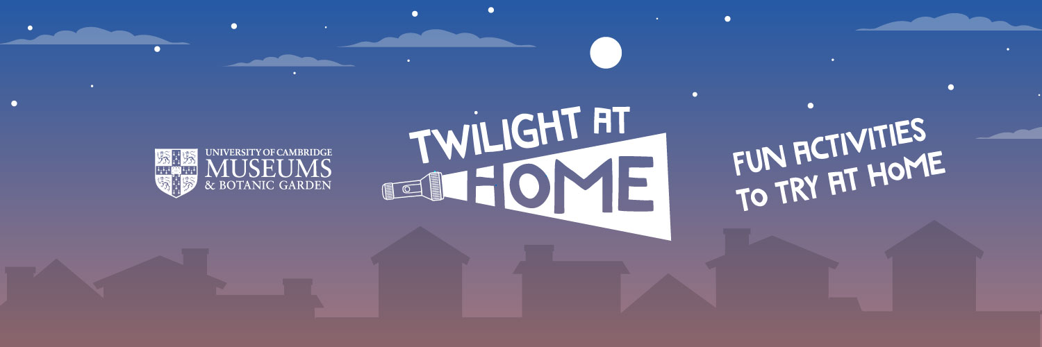 Twilight at Home banner