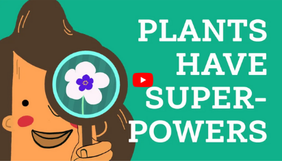 Plants have superpowers!