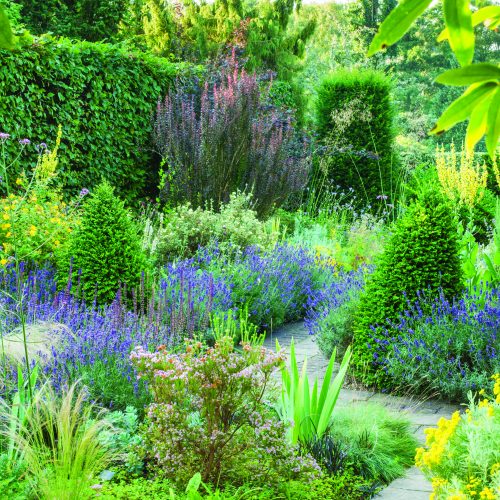 Dry Garden