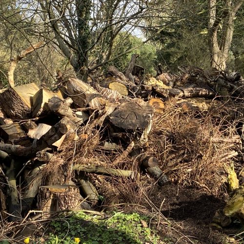 Wood pile