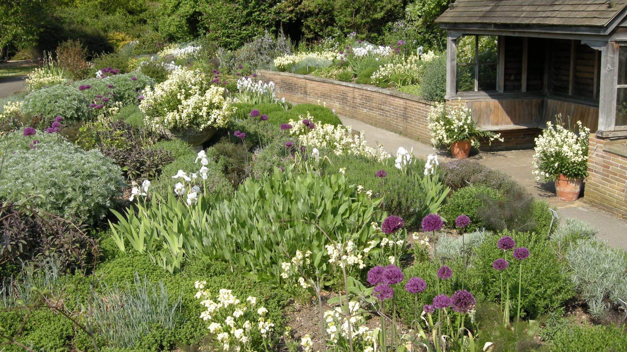 The scented garden with shrubs, flowers and a covered seating area.