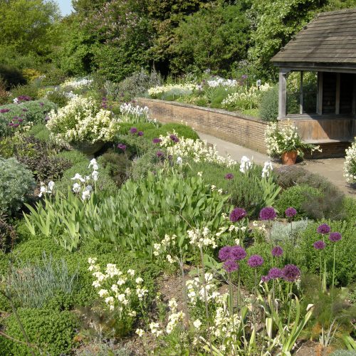 Scented Garden