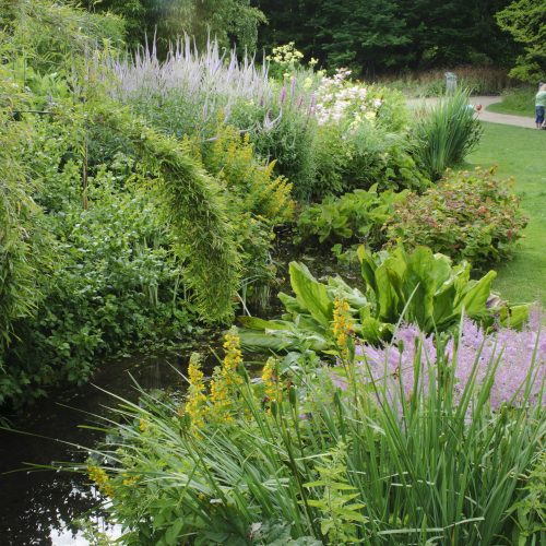 Stream Garden