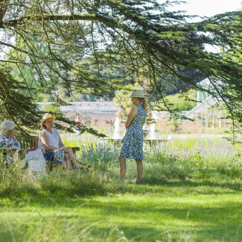 Staying Cool at the Botanic Garden During Hot Weather