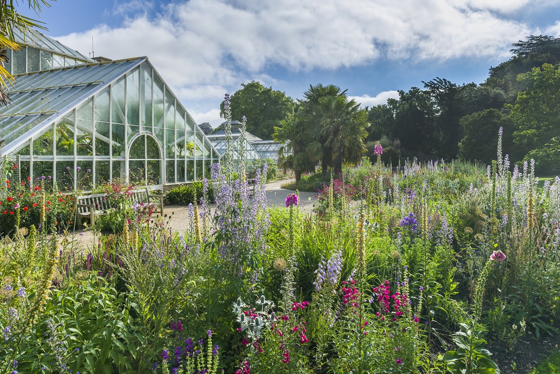 A glasshouse with tall stemmed flowers, known to attract bees, in a border at the front. 