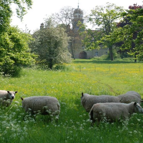 Cambridge Past Present & Future offer for CUBG Friends