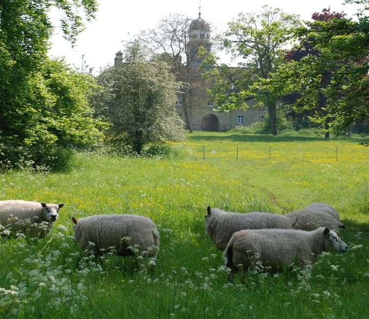 Discounted membership for Friends of CUBG with Cambridge Past Present and Future