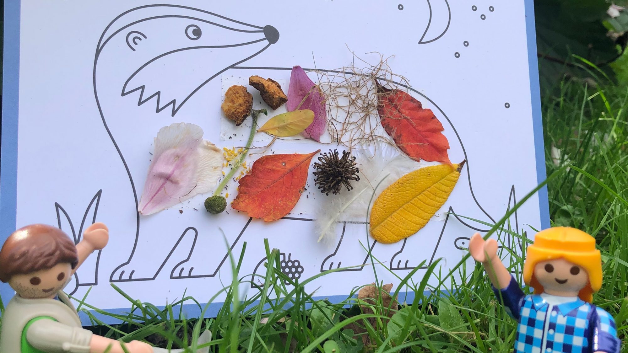 Image of a card with a hedgehog on it