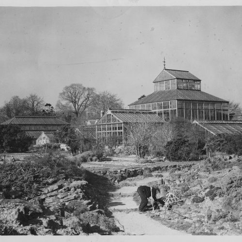 CUBG celebrates 175 years this summer!