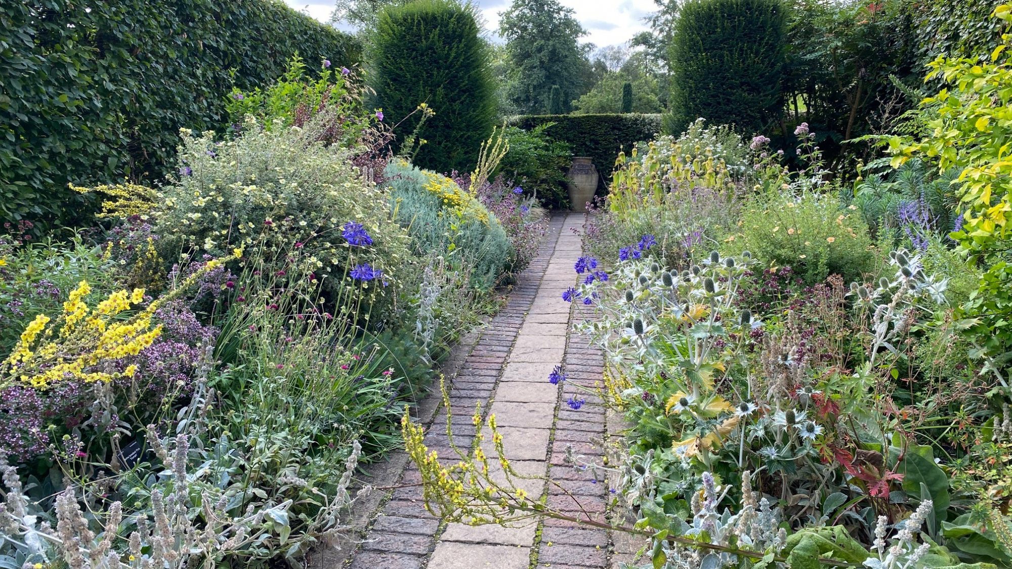 view of the Dry Garden