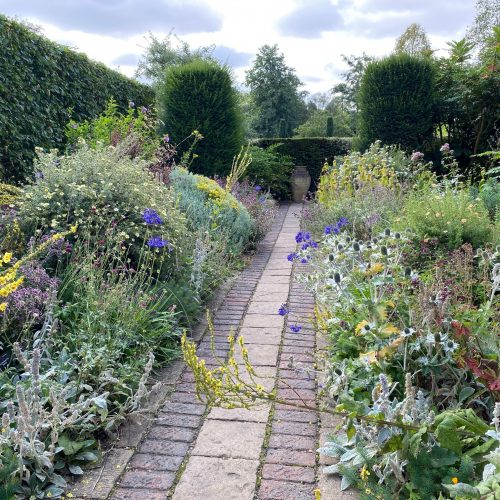 Cambridge Water sponsors the Dry Garden