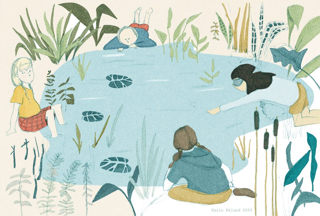 an illustration of children sitting around a pond surrounded by plants