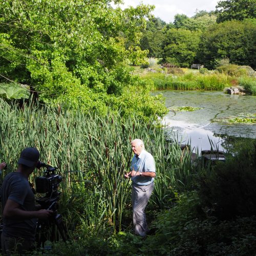 Sir David Attenborough and The Green Planet film at CUBG