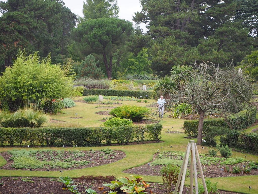 Sir David Attenborough walking through the Systematic Beds