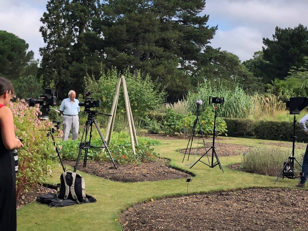 Sir David Attenborough filming in the Systematic Beds for Green Planet