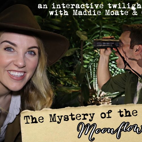 Join our ‘Mystery of the Moonflower’ half term, online, interactive event!