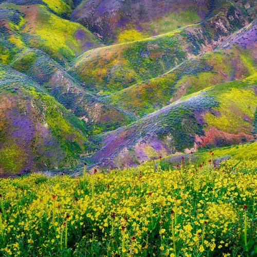 The International Garden Photographer of the Year (IGPOTY) outdoor exhibition returns to the Garden