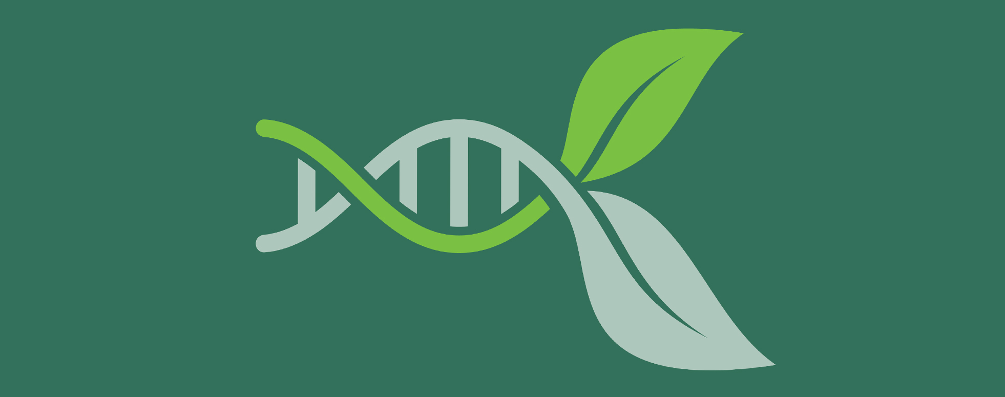  Gene expression image. The mechanics of plant development. 
