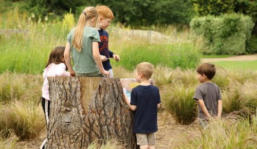 The Great Garden Egg Hunt