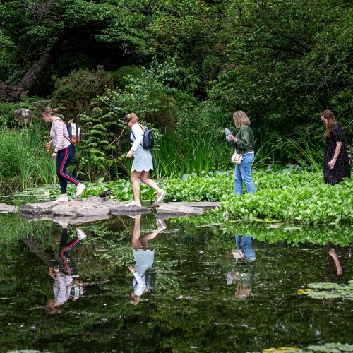 CUBG records its busiest ever year