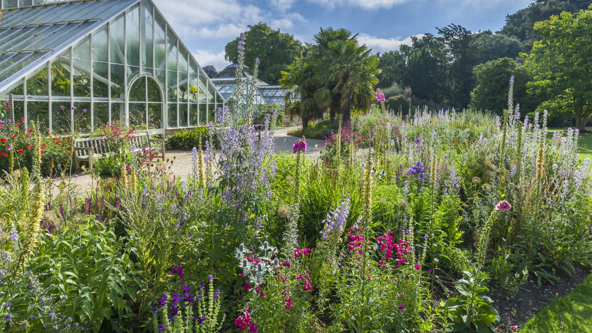 A view over the flowers of the bee borders to the glass houses