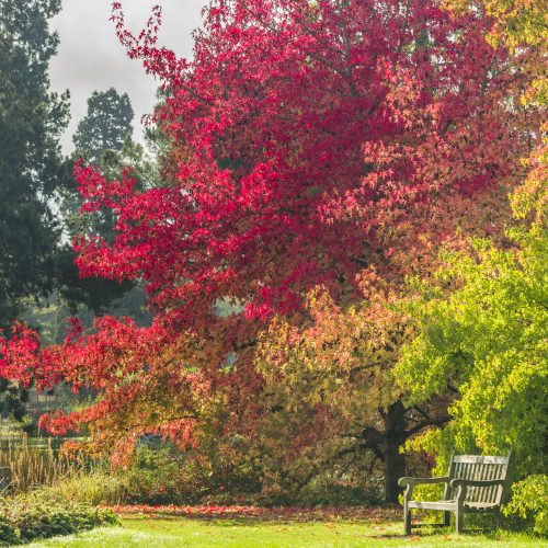 ‘The Colours of Cambridge University Botanic Garden’ photography competition