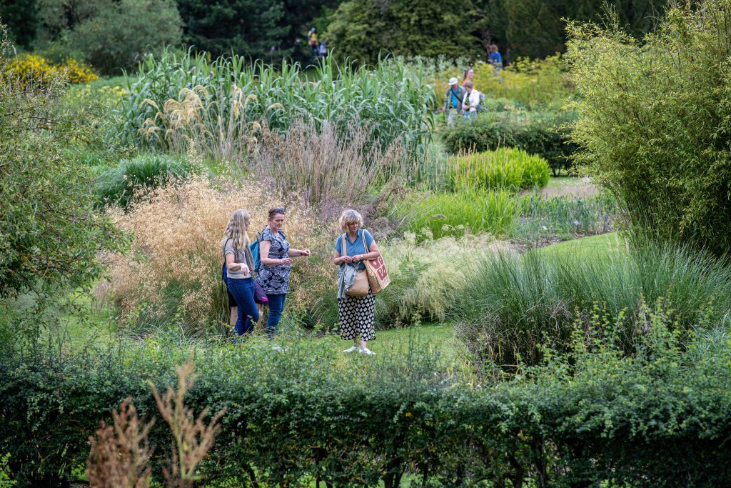 Small groups of visitors walk amongst flower beds and bushes