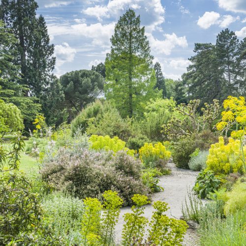 Mediterranean Beds