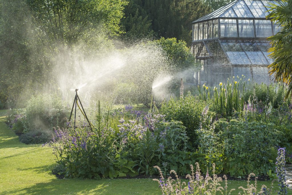 Sprinklers watering the bee borders and main lawn.