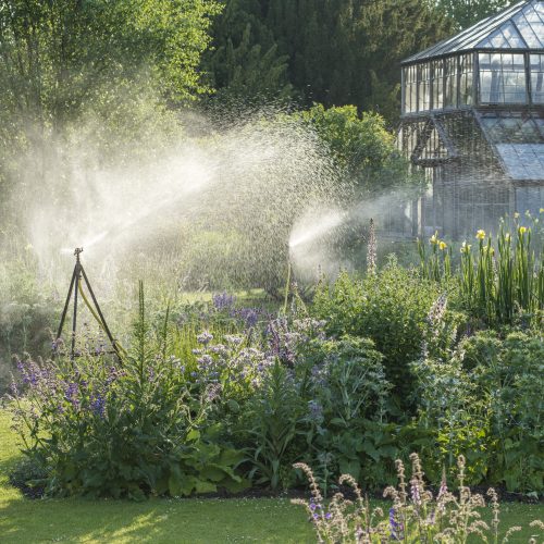 Caring for the Garden & our Living Collection in the heat