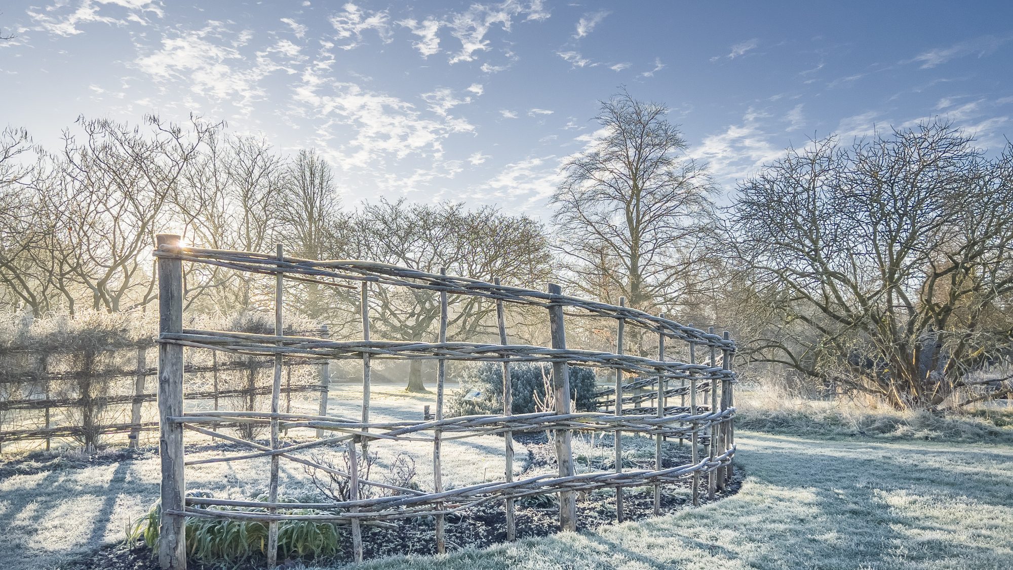 The Circadian beds in winter frost.