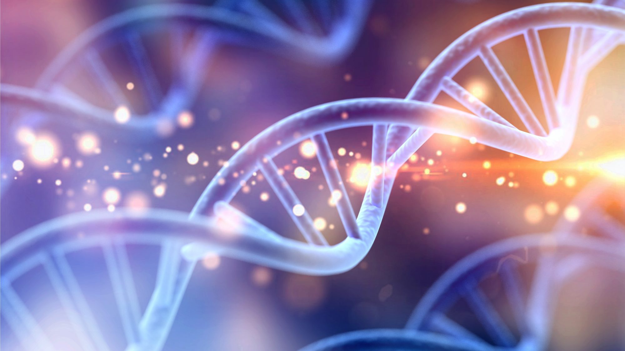 A digital illustration of DNA, formed of two twisted helixes.