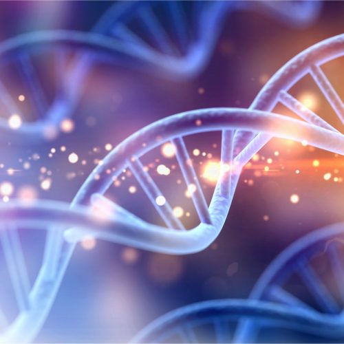 DNA in the Garden