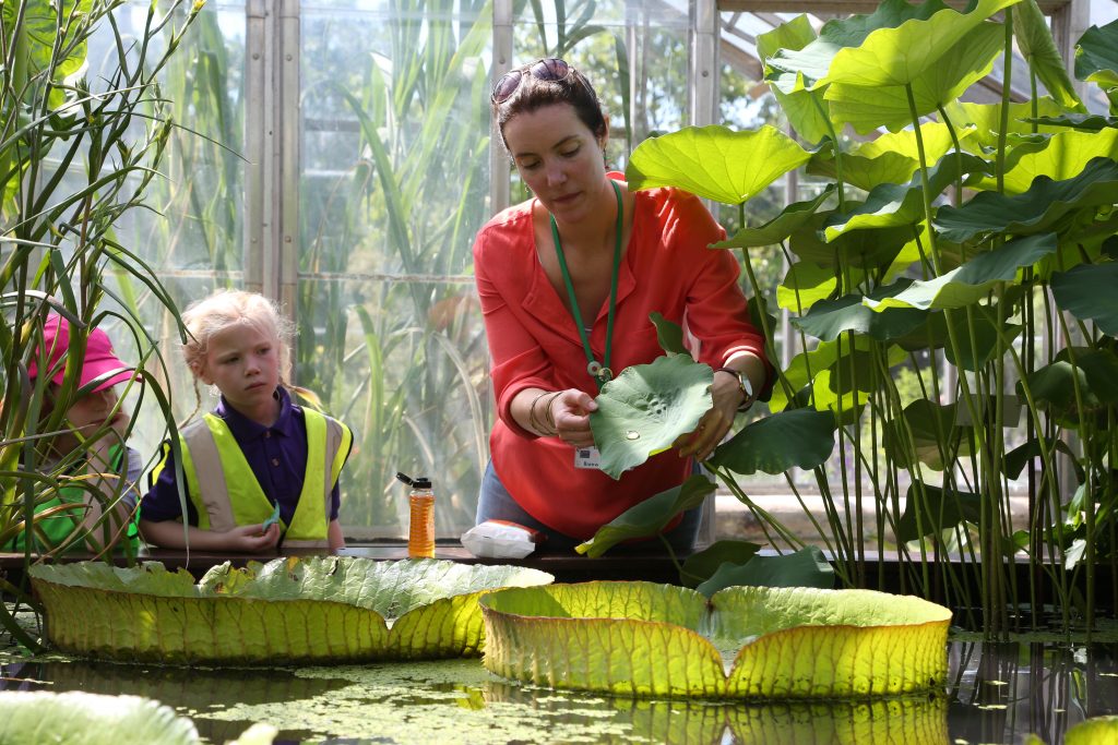 Teacher showing children leaves in the tropical glasshouse