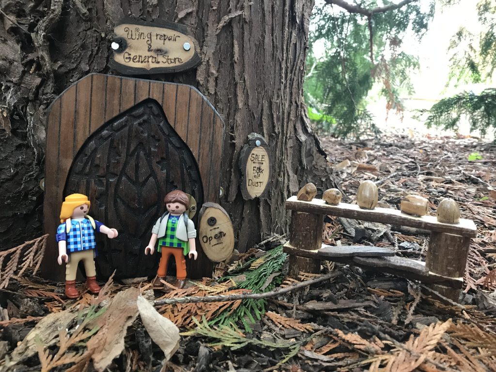 Fairy doors in the dell.