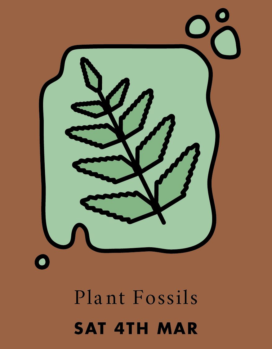 Illustration of a fly entering a venus fly trap 