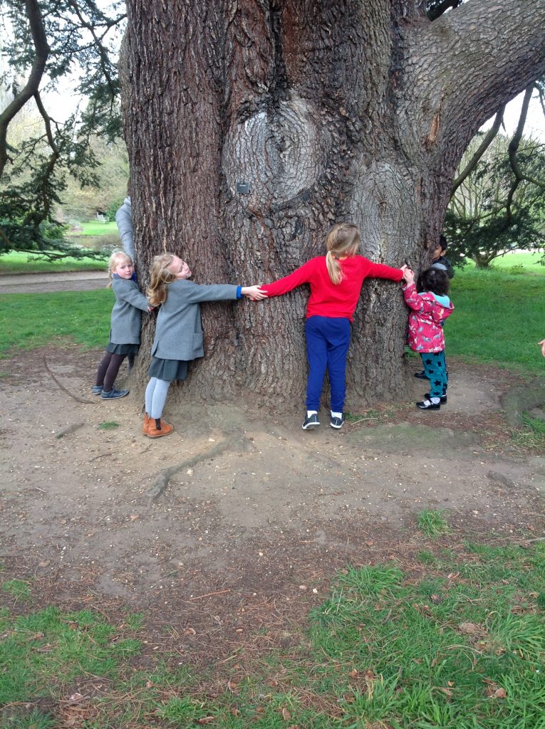 Children hugging a tree