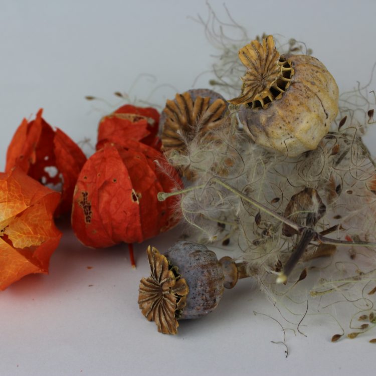Growing words and natural art