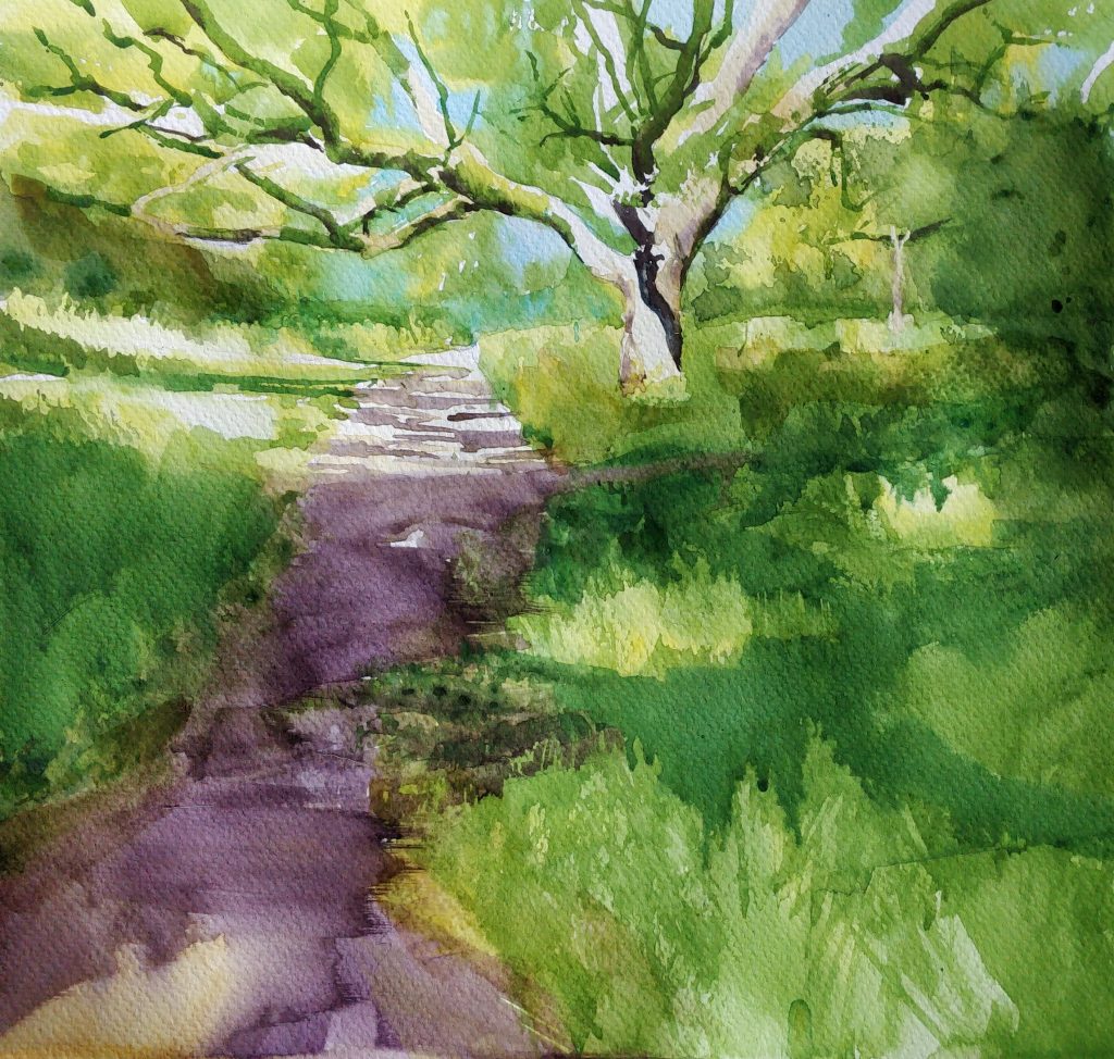 a watercolour scene of a shady path leading under a tree with banks of grass either side