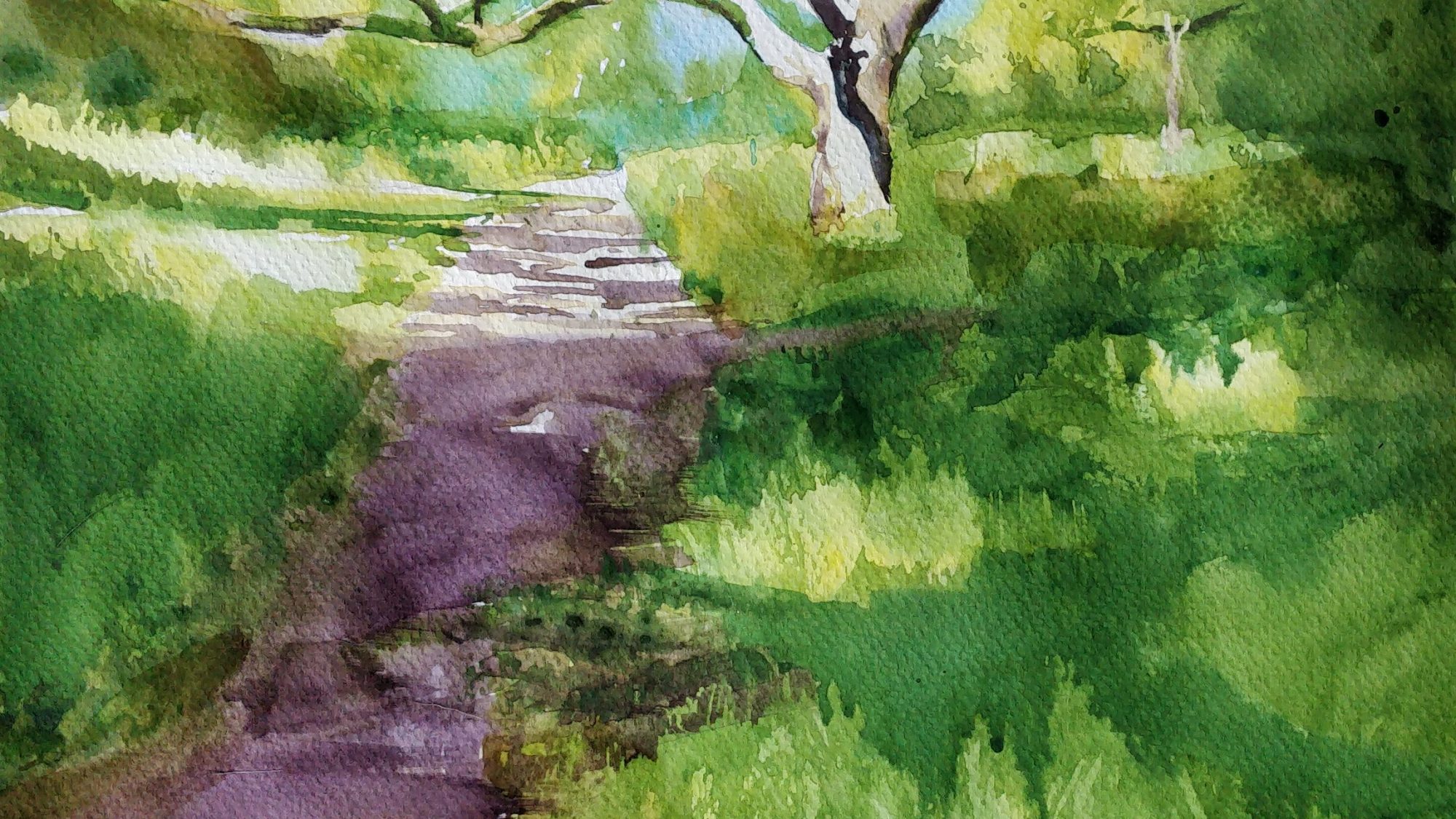 a watercolour scene of a shady path leading under a tree with banks of grass either side