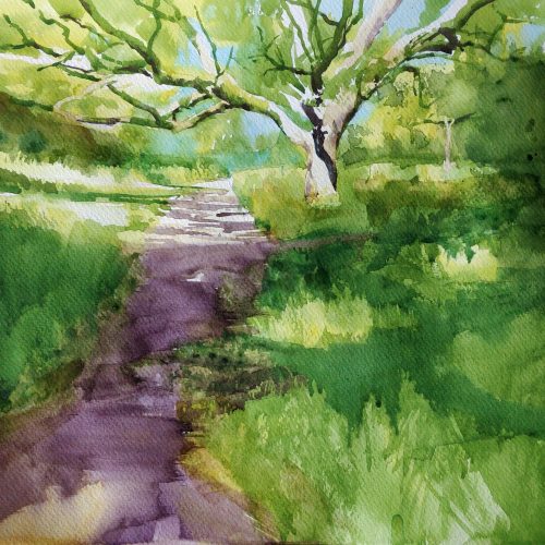 FULLY BOOKED Improvers' watercolour