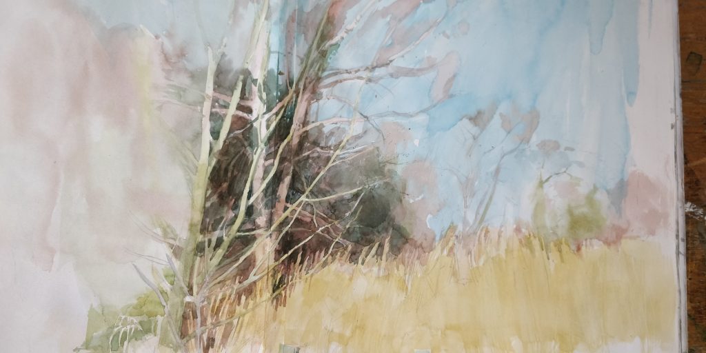 a watercolour scene of bare trees and grass