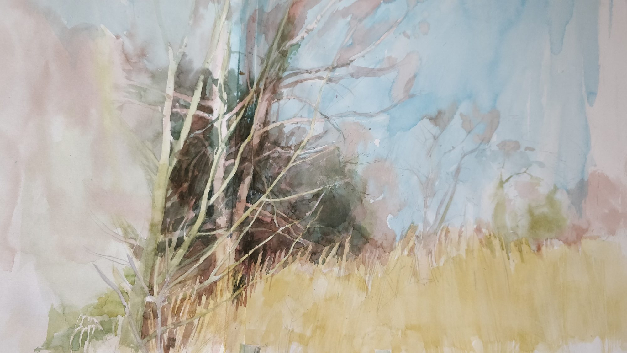 a watercolour scene of bare trees and grass
