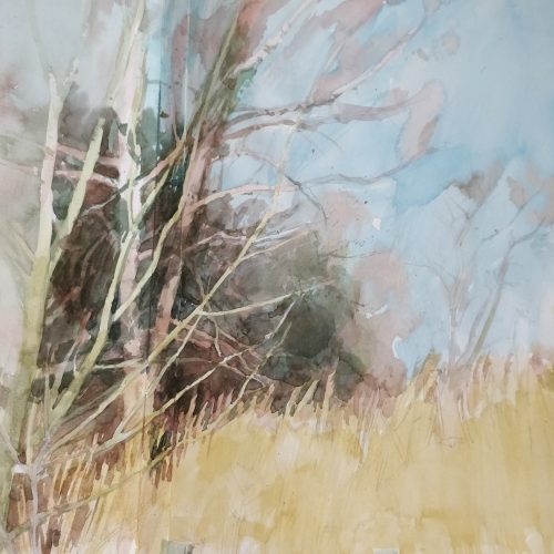 FULLY BOOKED Beginners’ watercolour
