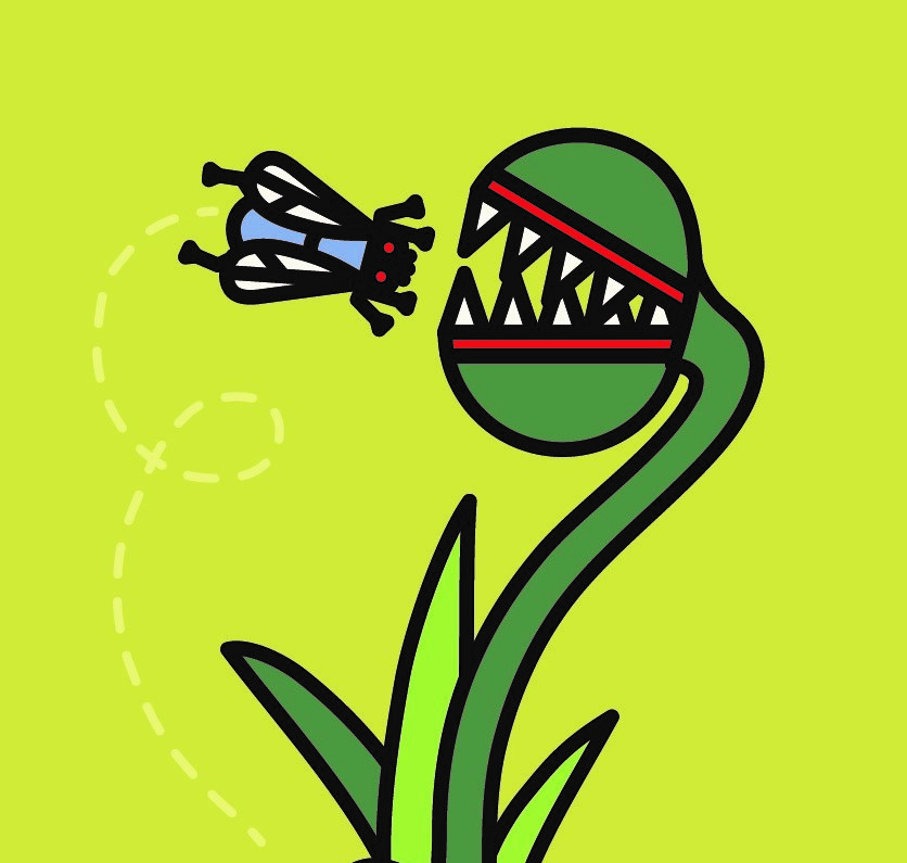 Illustration of a fly entering a venus fly trap 