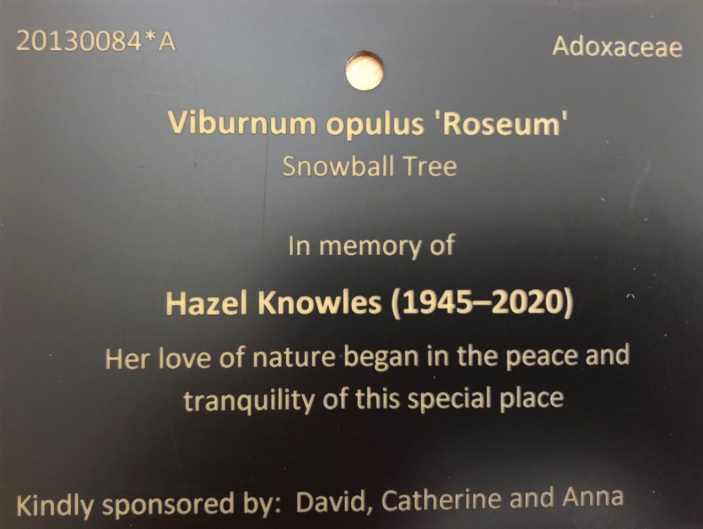 Sponsor a tree - Cambridge University Botanic Garden